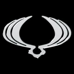 Logo SsangYong - Remorquage13.fr